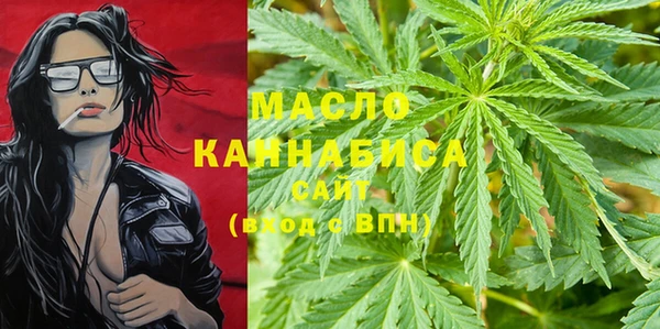 гидра Надым